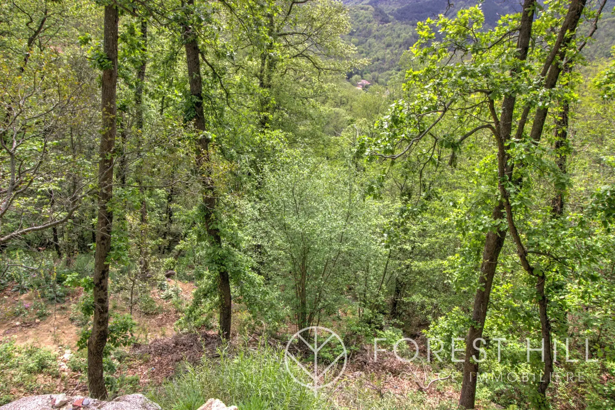 Terrain constructible de 2332 m² à Las Illas, vue montagne, proximité Maureillas-Las-Illas