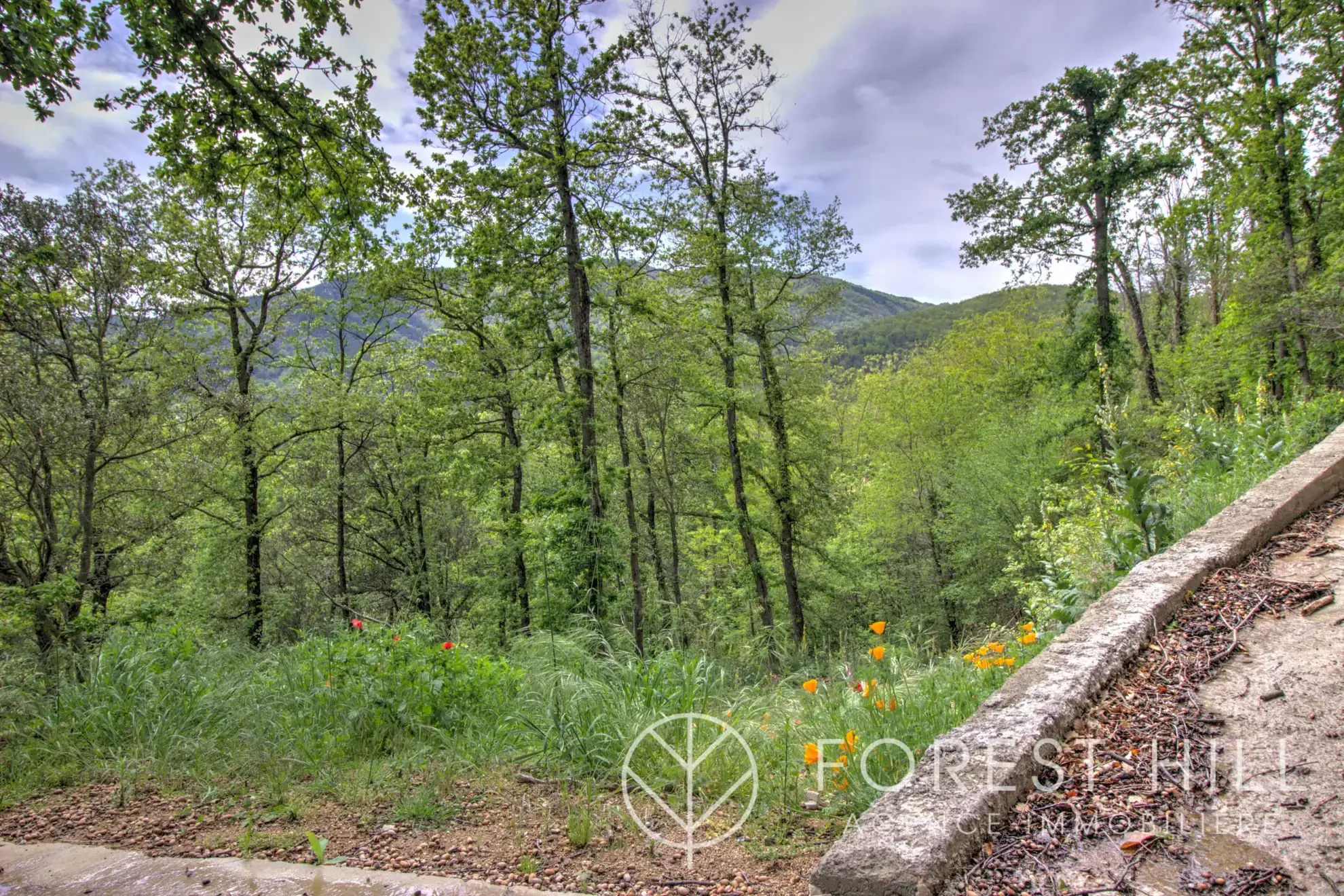 Terrain constructible de 2332 m² à Las Illas, vue montagne, proximité Maureillas-Las-Illas 