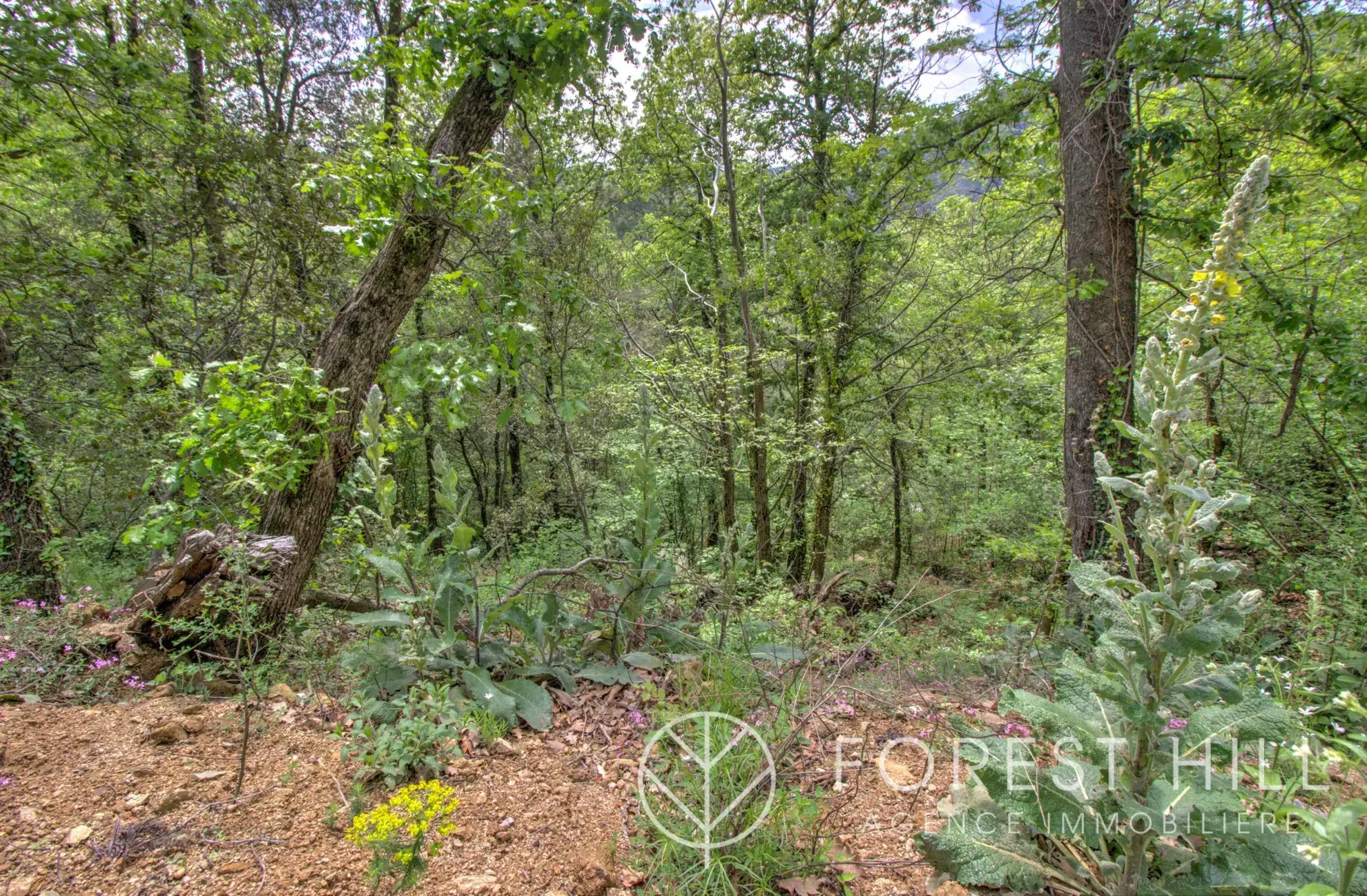 Terrain constructible de 2332 m² à Las Illas, vue montagne, proximité Maureillas-Las-Illas 