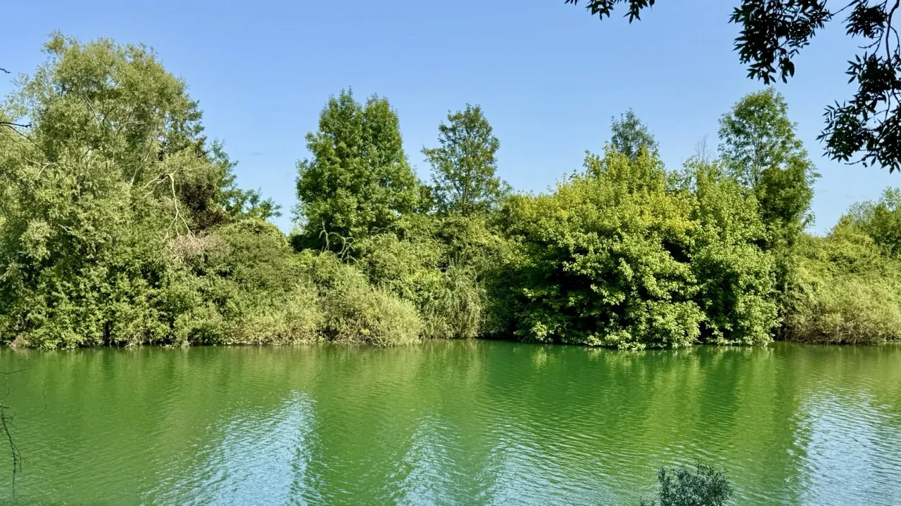 Maison individuelle avec terrain de 1890 m² en bord de Marne à Armentières-en-Brie 