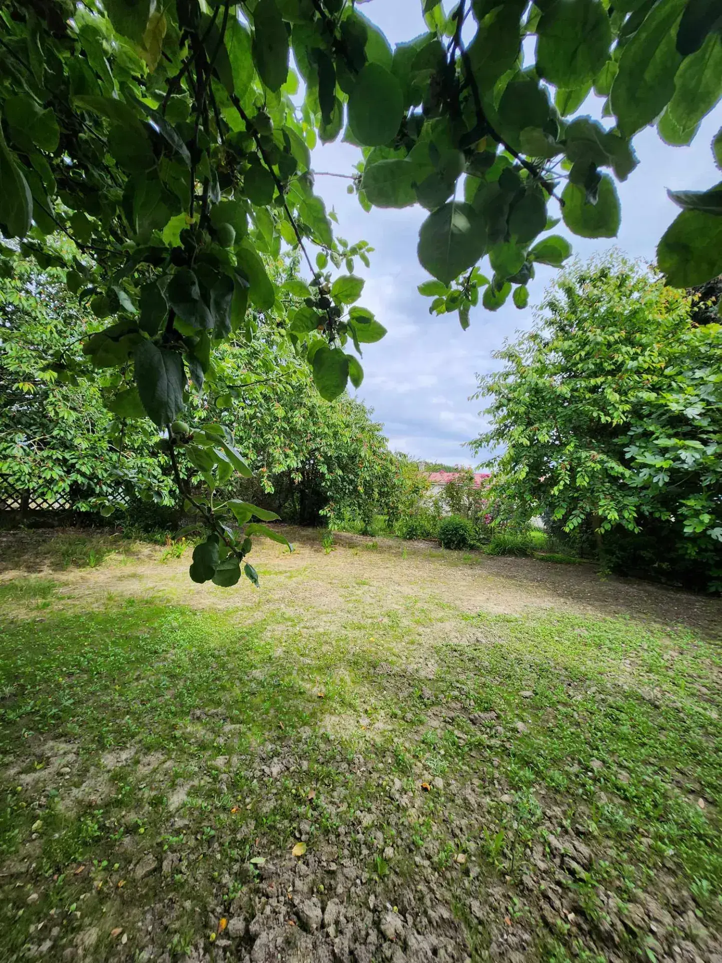 Maison de fermette à Burbure avec dépendances et jardin à rénover 
