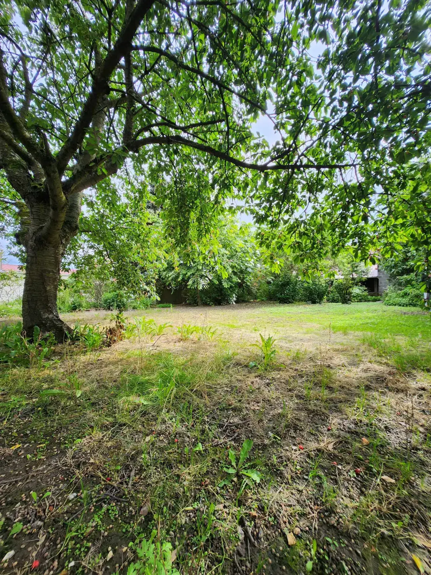 Maison de fermette à Burbure avec dépendances et jardin à rénover 