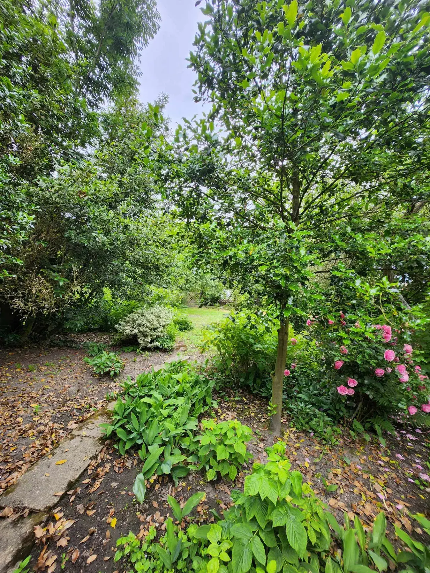 Maison de fermette à Burbure avec dépendances et jardin à rénover 