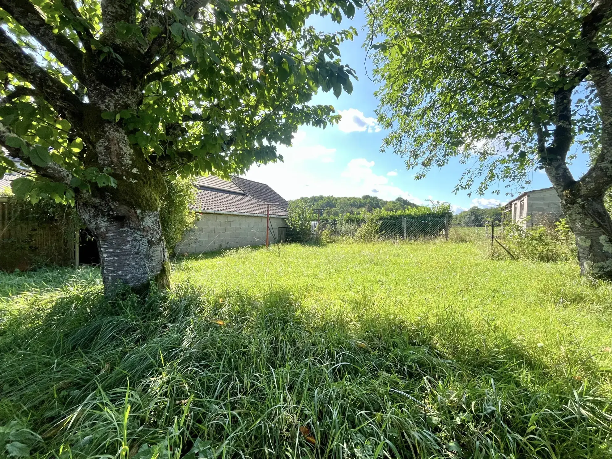 Maison 110 m² avec 3 chambres, garage double et terrain arboré à Villeneuve-sur-Bellot 