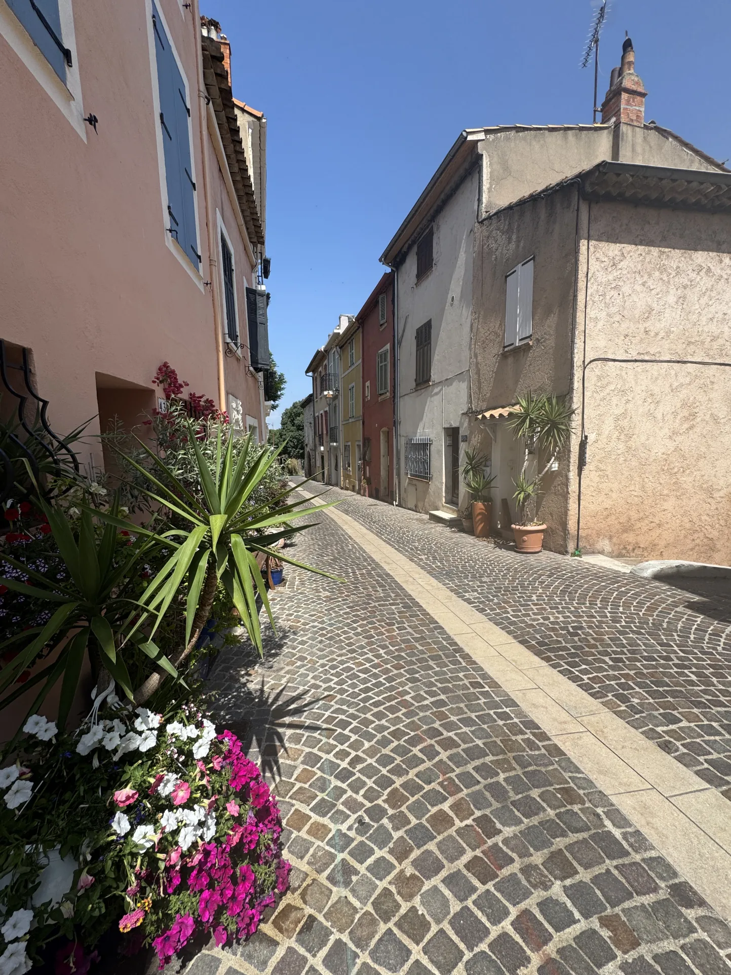 Investissement immobilier à Fréjus : deux studios avec potentiel locatif immédiat