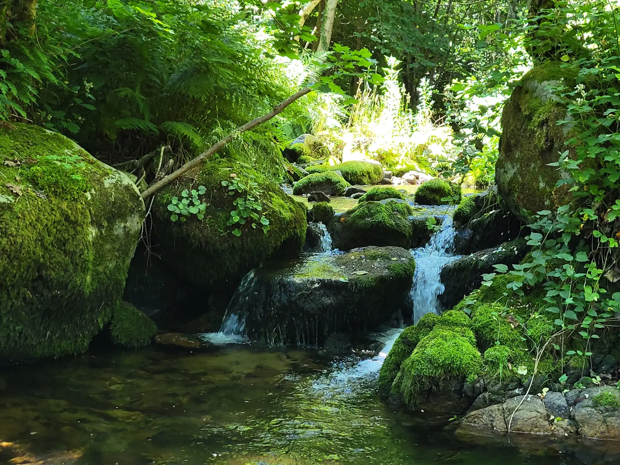 Belle maison en pierre à Dornas avec terrasse et vue montagne - Ardèche 07 