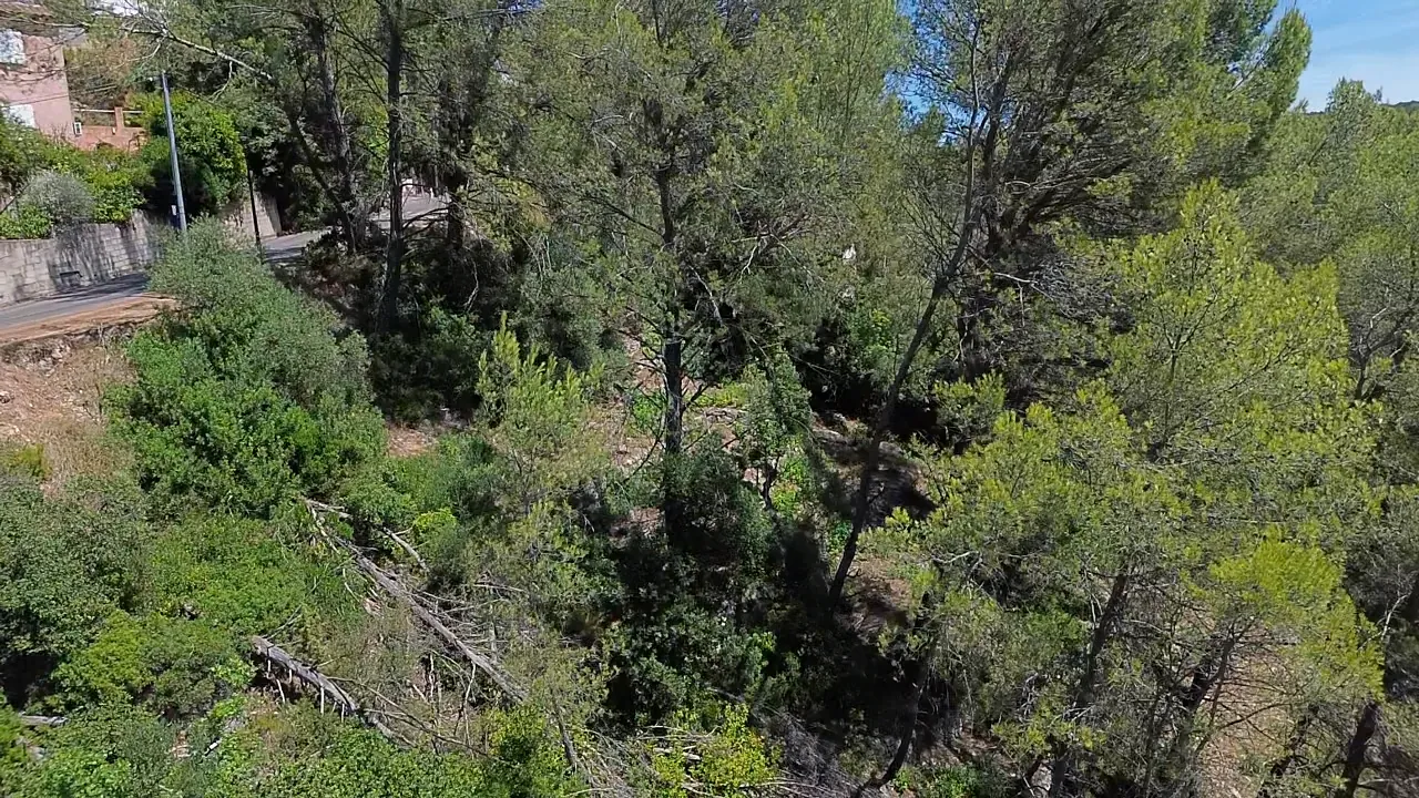 Terrain constructible de 1354 m² à Sollies Toucas – Vue dégagée, exposition sud 