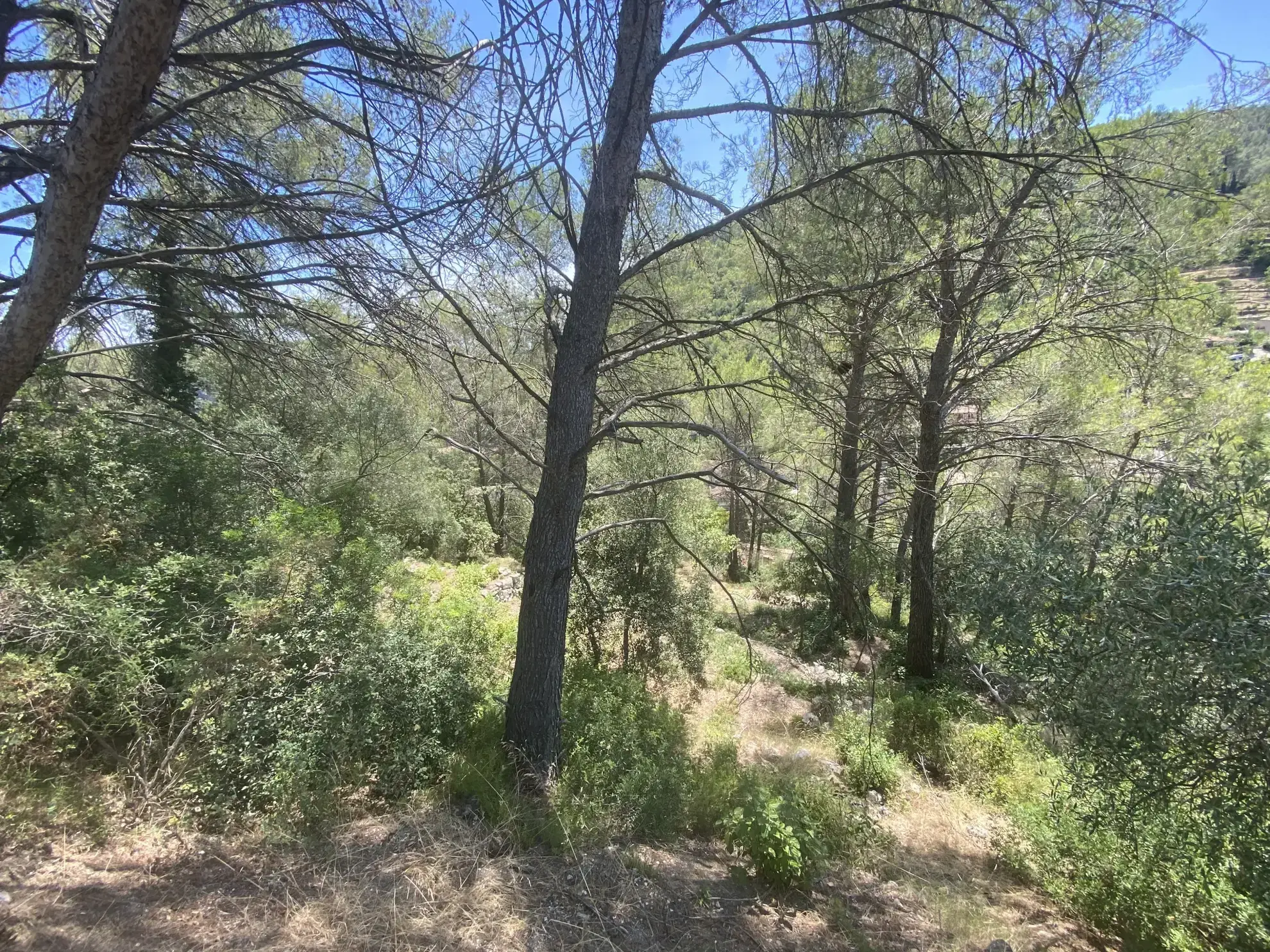 Terrain constructible de 1354 m² à Sollies Toucas – Vue dégagée, exposition sud 