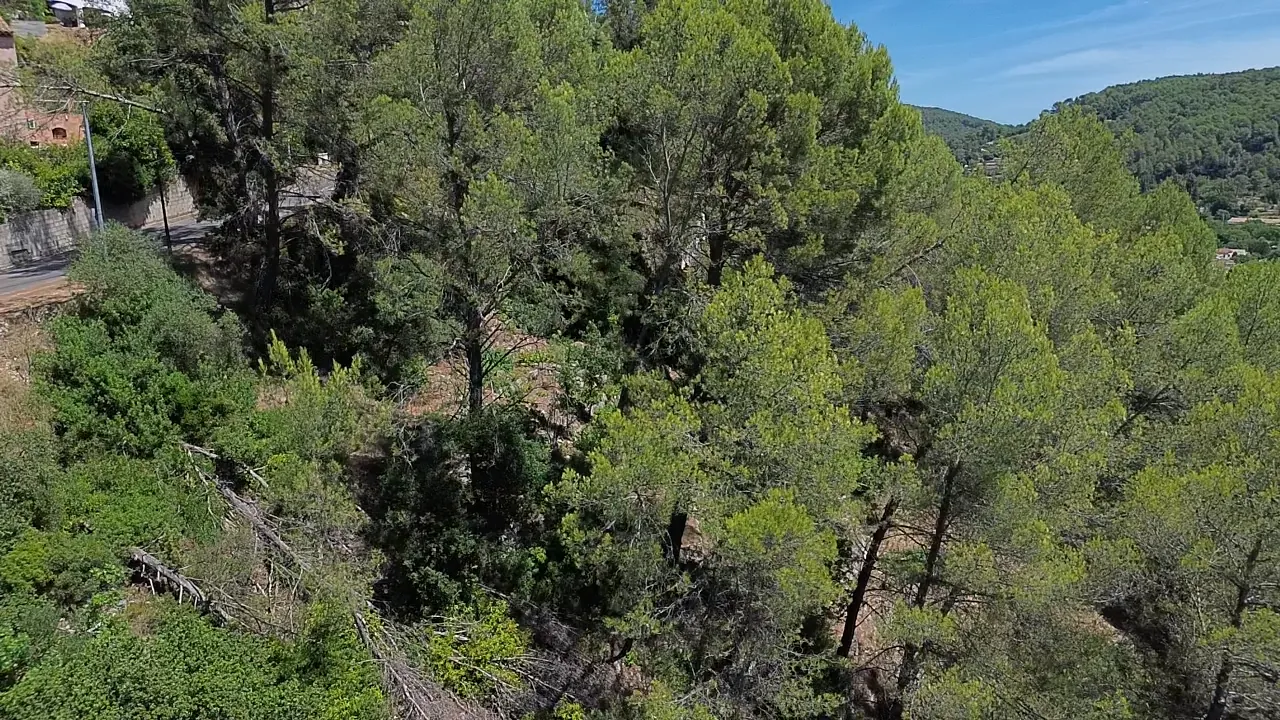 Terrain constructible de 1354 m² à Sollies Toucas – Vue dégagée, exposition sud 