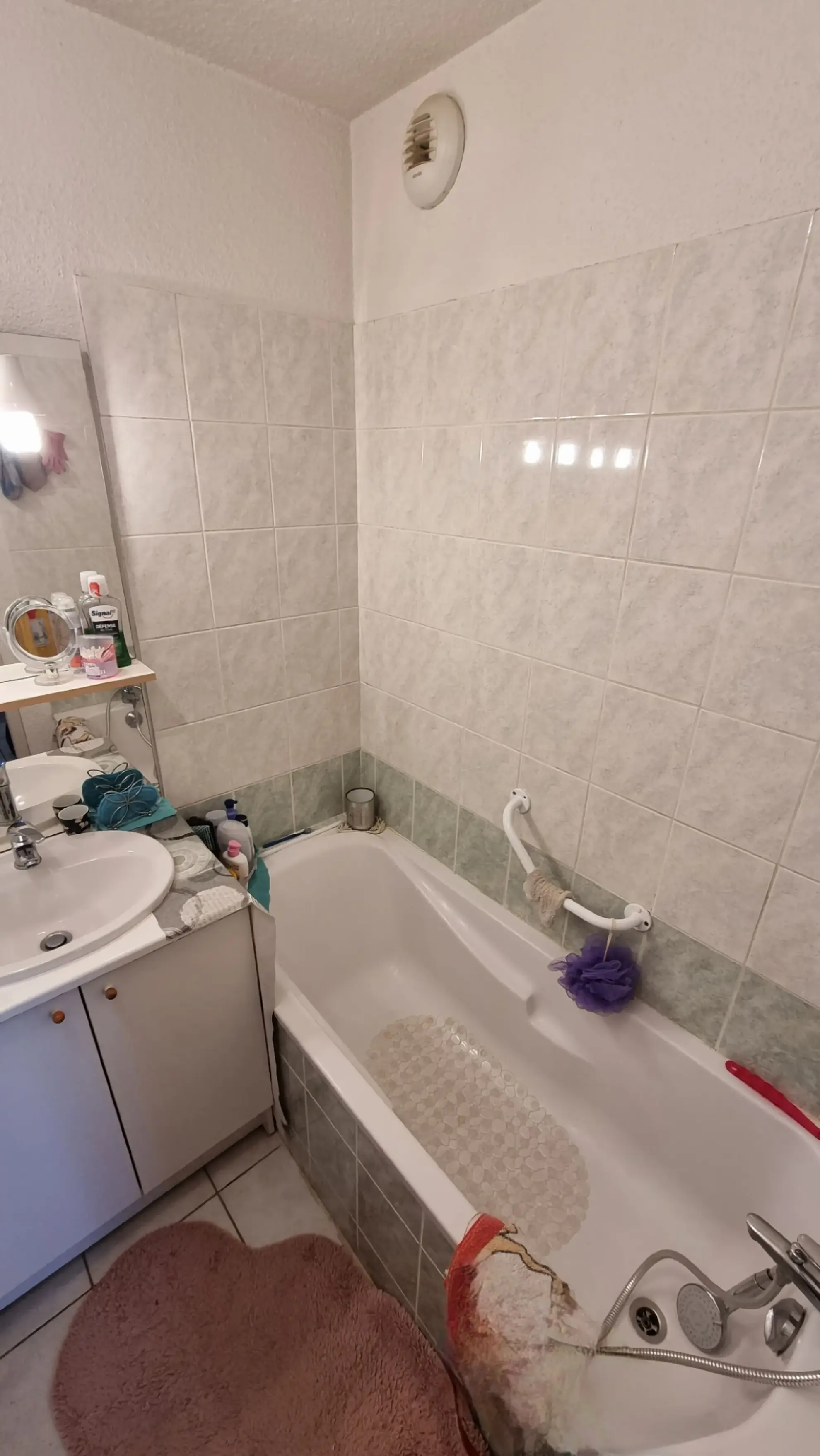 Appartement à Villerest de 41 m² avec terrasse, parking et locataire en place 