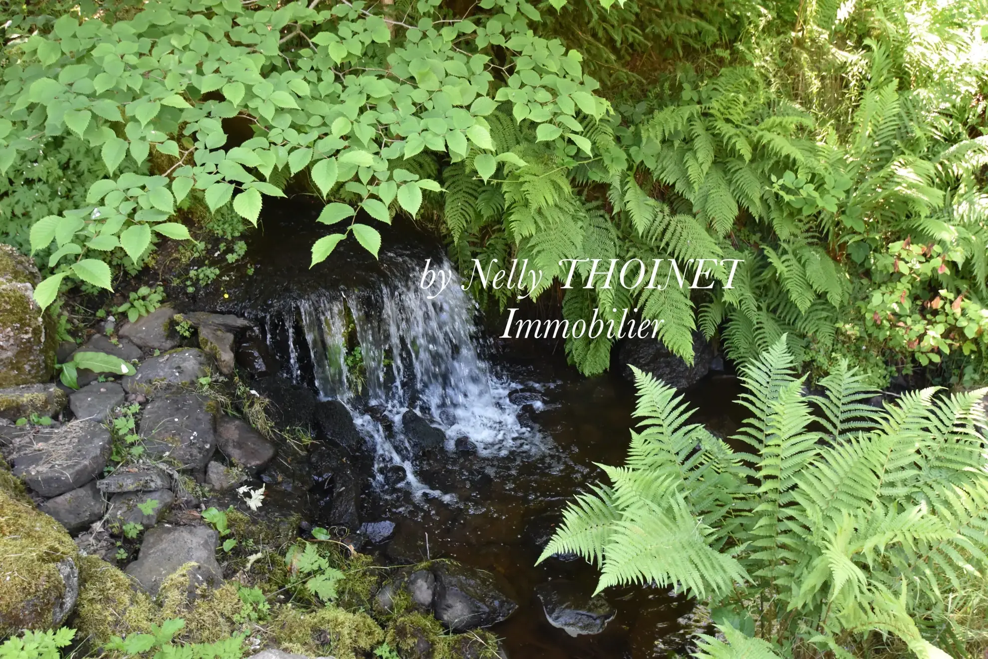 Ancien corps de ferme à Égliseneuve d'Entraigues, potentiel de rénovation, dépendances, environnement naturel exceptionnel 