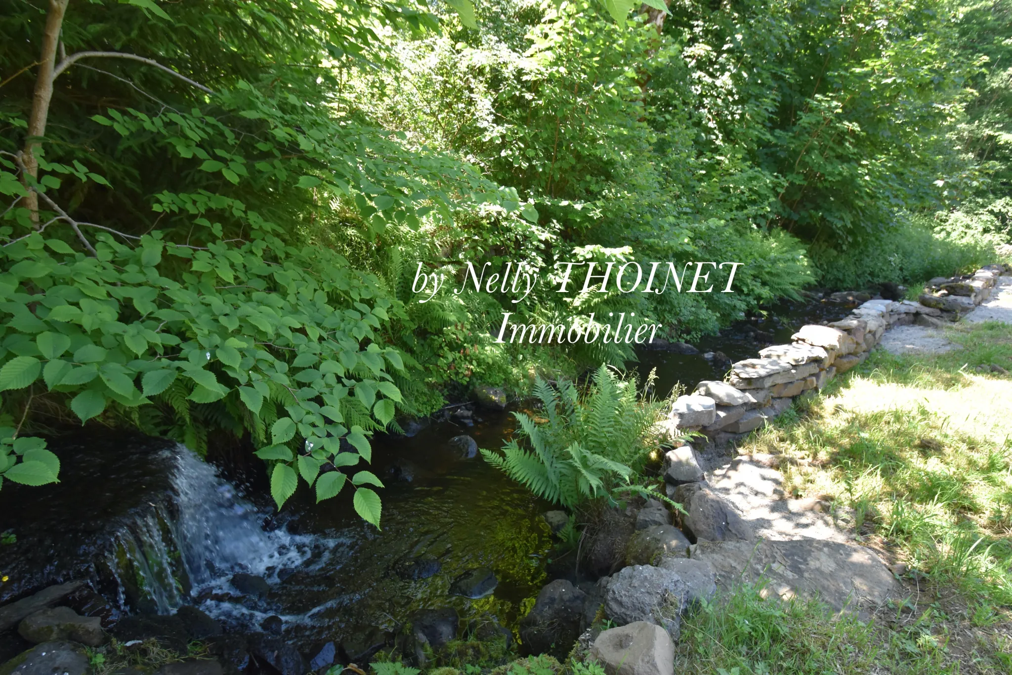 Ancien corps de ferme à Égliseneuve d'Entraigues, potentiel de rénovation, dépendances, environnement naturel exceptionnel 