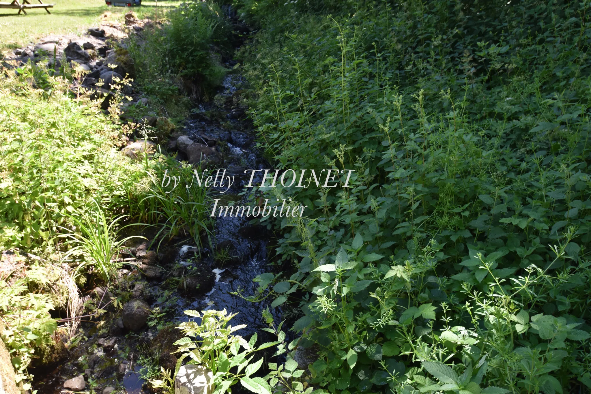 Ancien corps de ferme à Égliseneuve d'Entraigues, potentiel de rénovation, dépendances, environnement naturel exceptionnel 