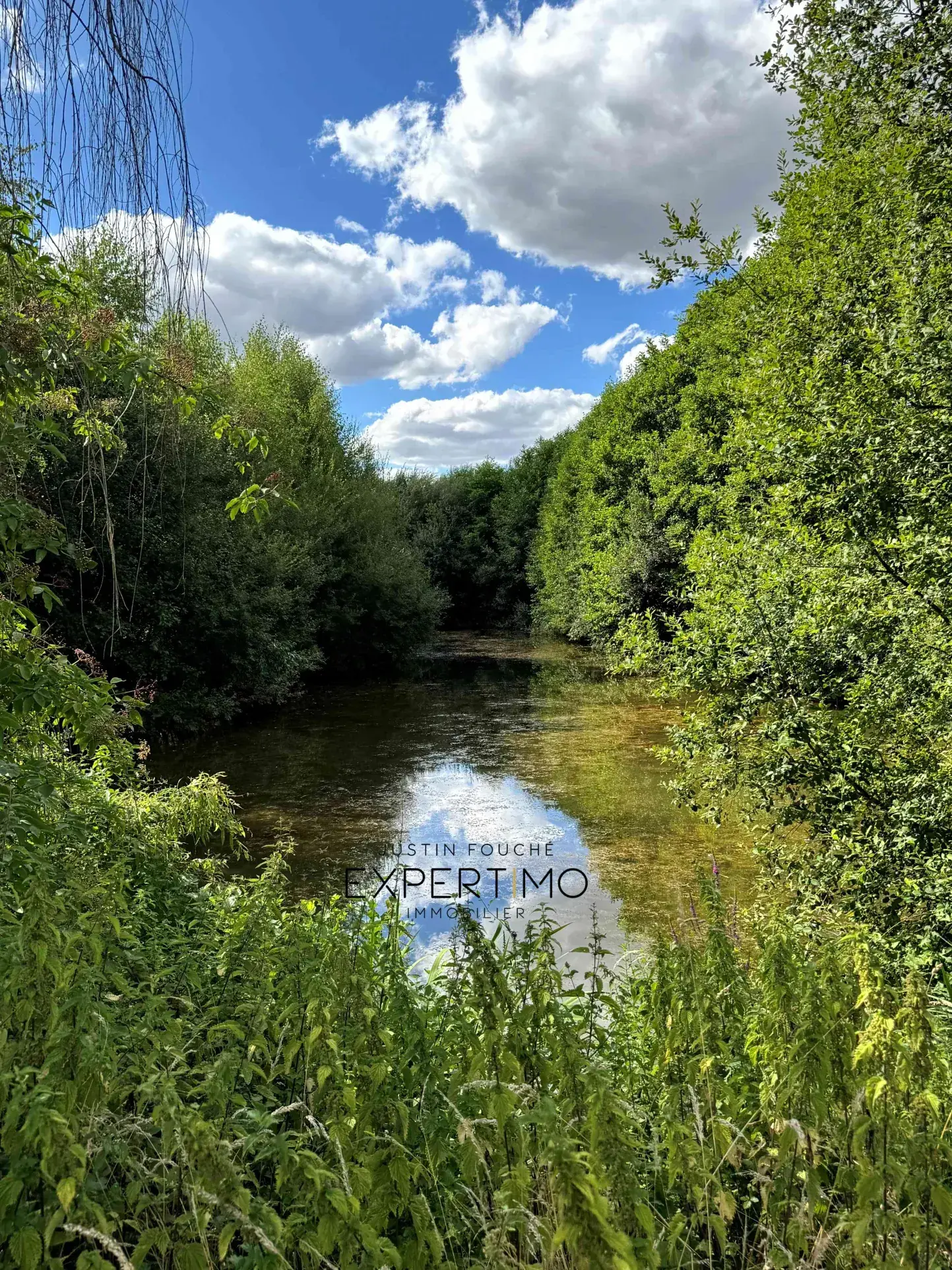 Maison avec piscine, étang et dépendance à Connerre, 131 m² 