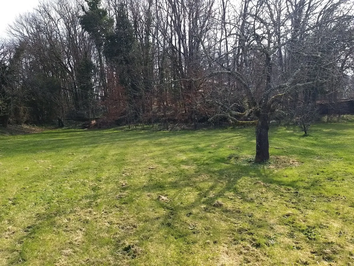 Terrain constructible de 2200 m² à Pranzac, proche La Rochefoucauld 