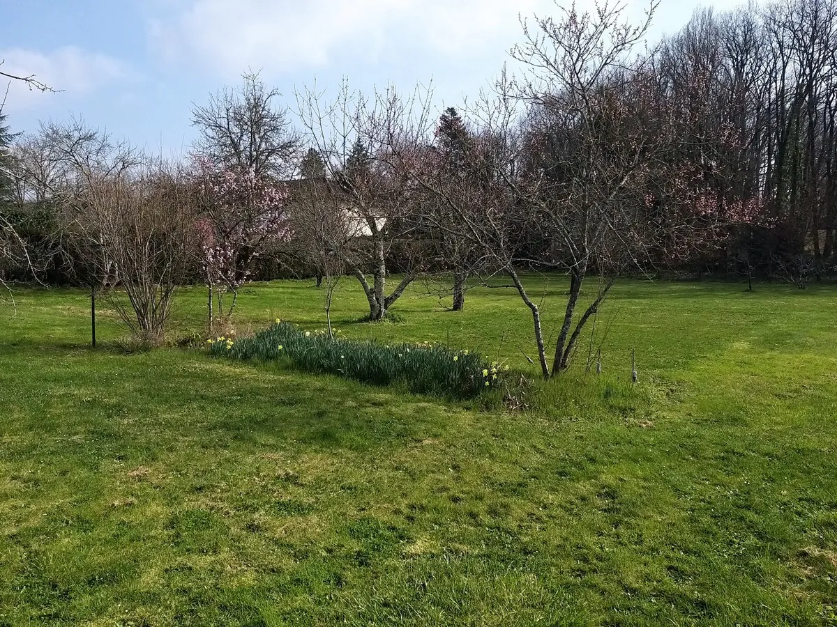 Terrain constructible de 2200 m² à Pranzac, proche La Rochefoucauld 