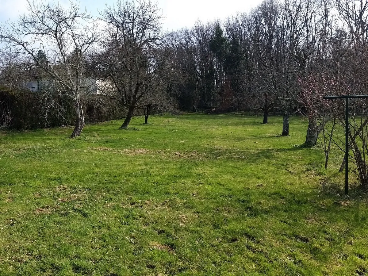 Terrain constructible de 2200 m² à Pranzac, proche La Rochefoucauld 