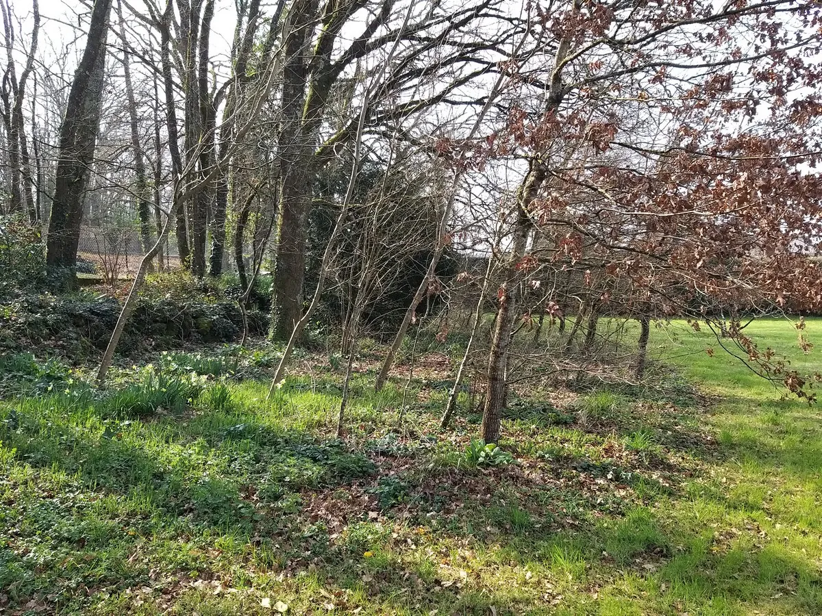 Terrain constructible de 2200 m² à Pranzac, proche La Rochefoucauld 
