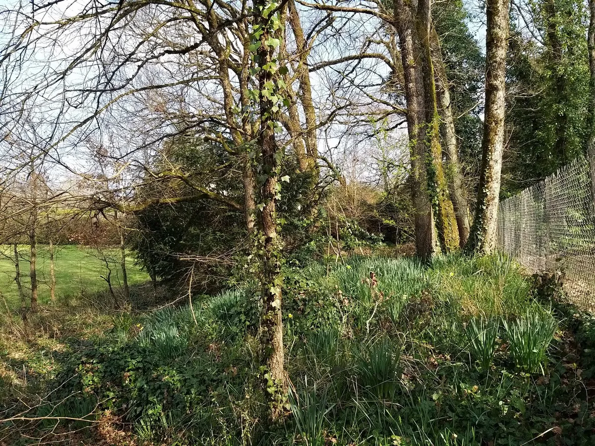 Terrain constructible de 2200 m² à Pranzac, proche La Rochefoucauld 