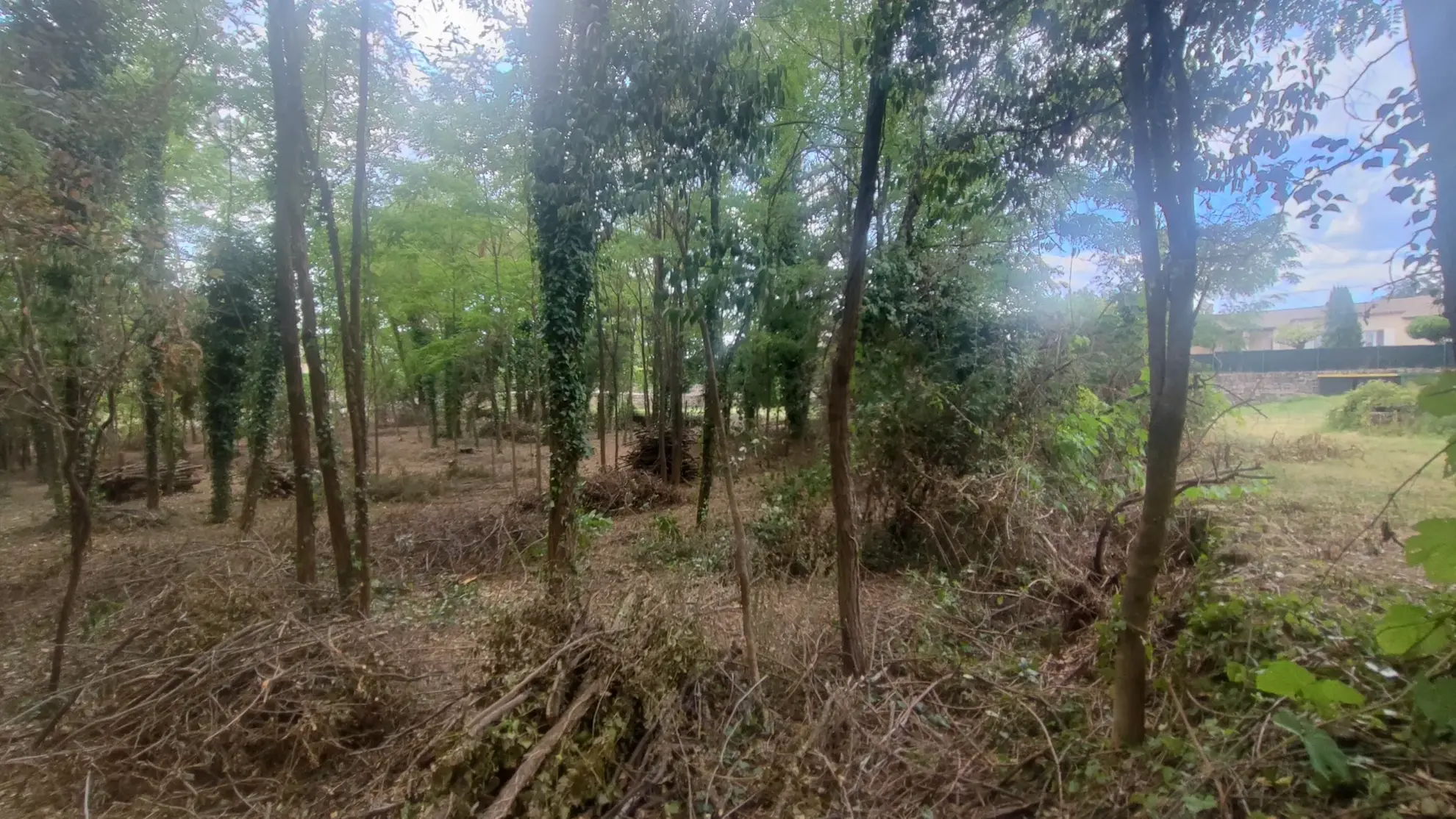 Terrain constructible pour promoteur ou investisseur à Joyeuse 