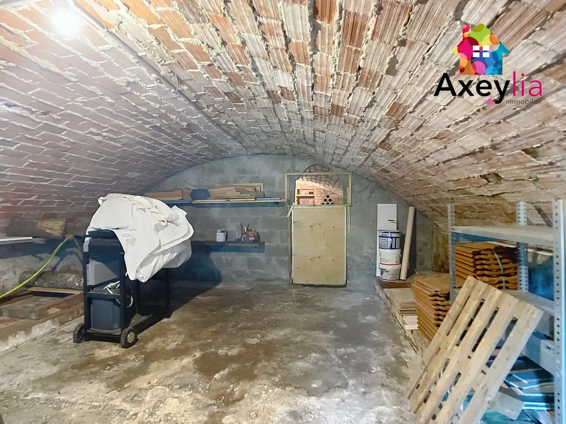 Maison rénovée avec 3 chambres, jardin arboré et sous-sol à Briennon (42720) 