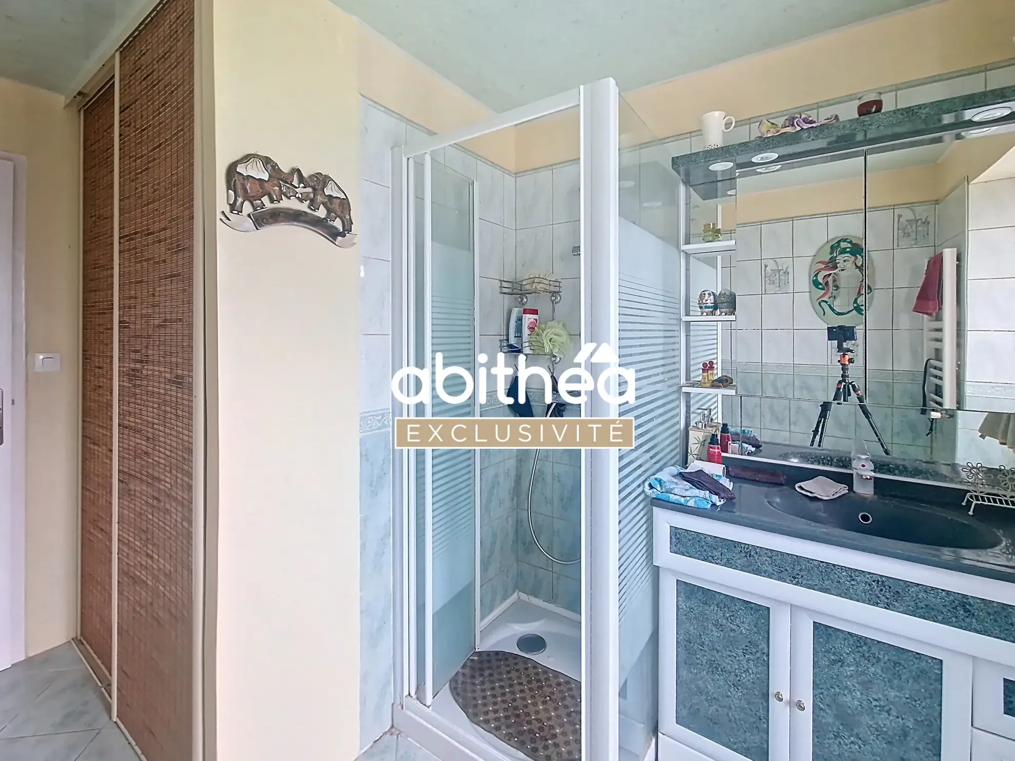 Maison de village charentaise avec 4 chambres et grand terrain à Nieul-le-Virouil 