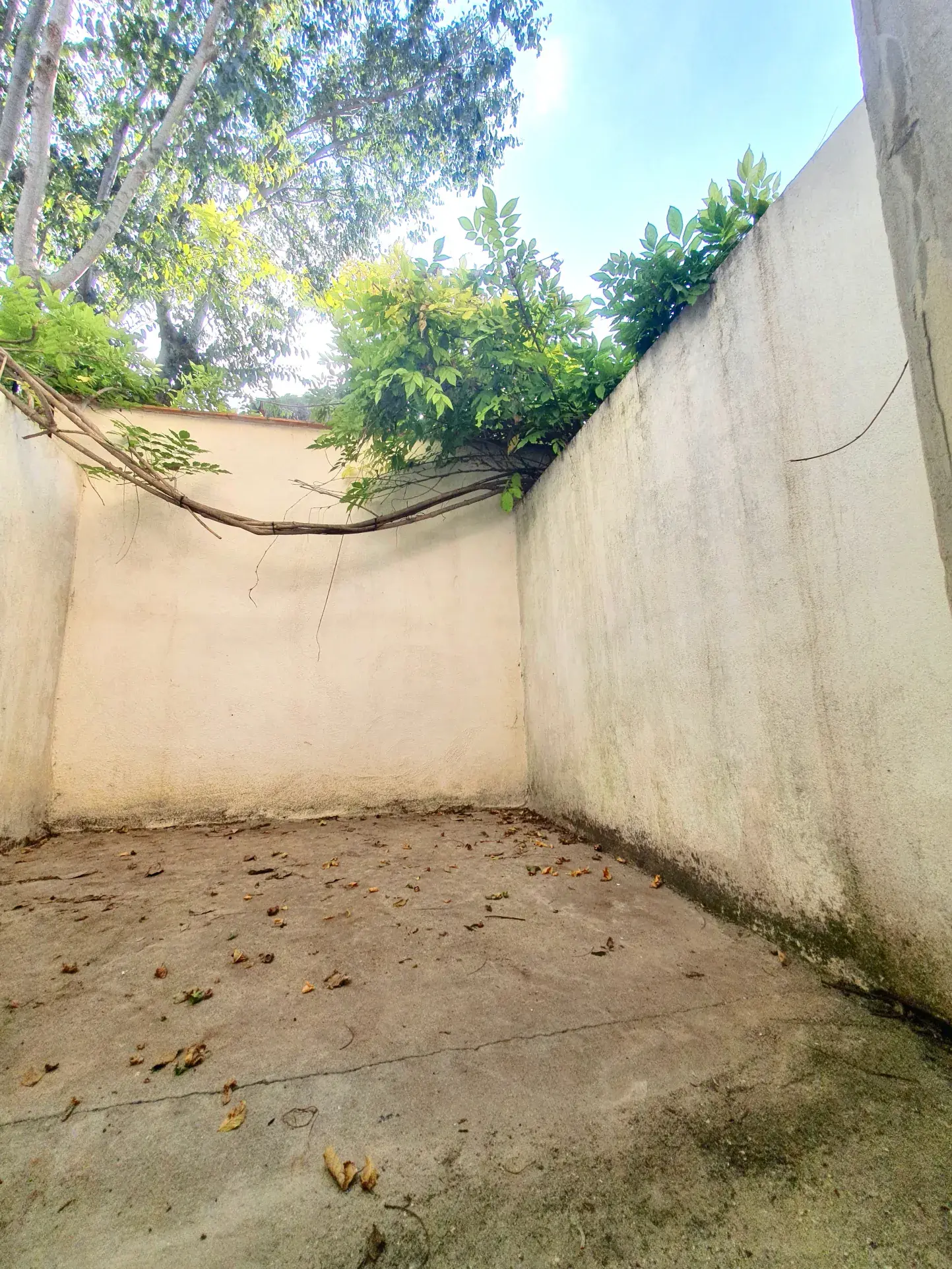 Appartement T2 à Montpellier avec Terrasse - Secteur Boutonnet 