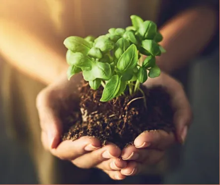 Appartement 3 pièces neuf à Tours – Livraison janvier 2026 