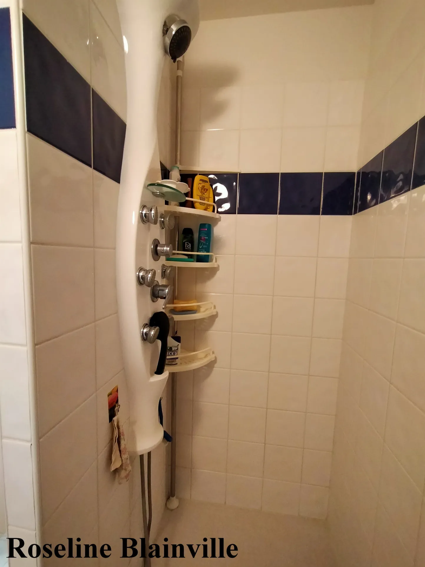 Maison T3 à Saujon : parfait pour senior ou investisseur avec garage et piscine 