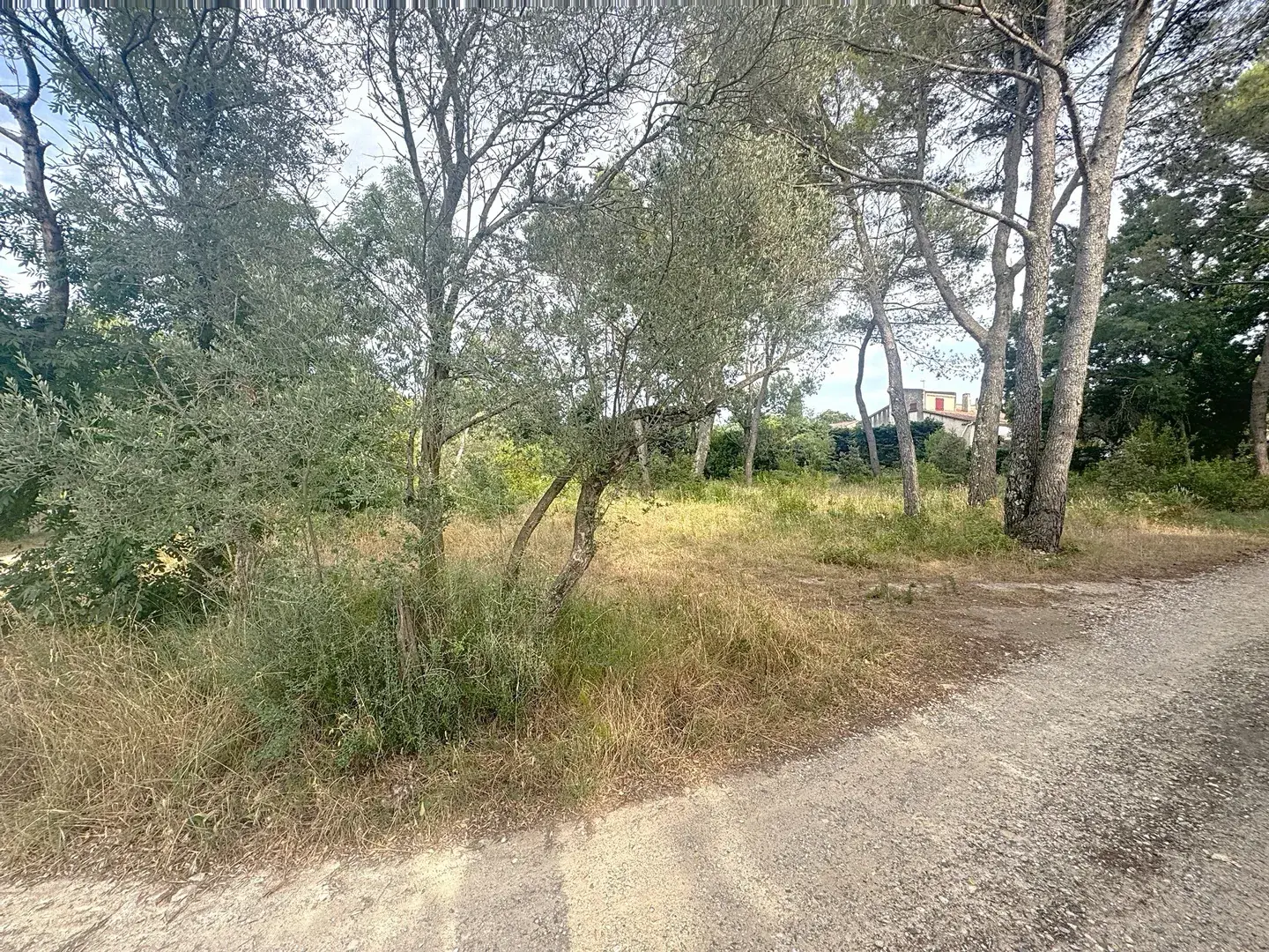 Terrain à bâtir de 1700 m² à Bollène, viabilisé et prêt à construire 