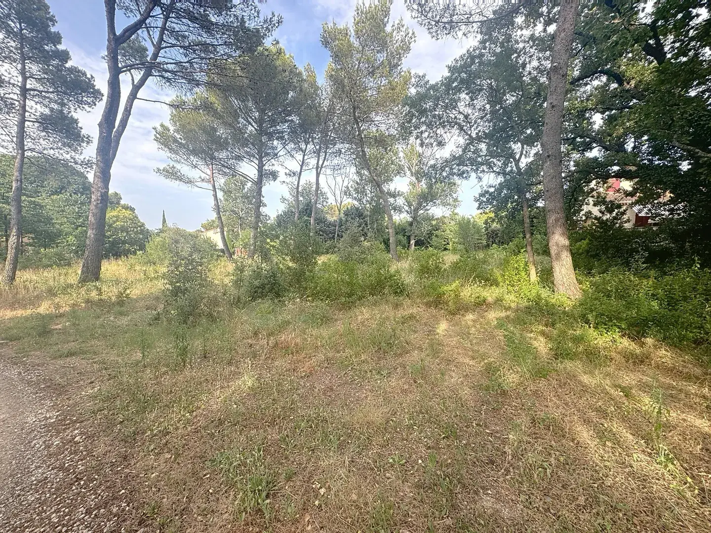 Terrain à bâtir de 1700 m² à Bollène, viabilisé et prêt à construire 