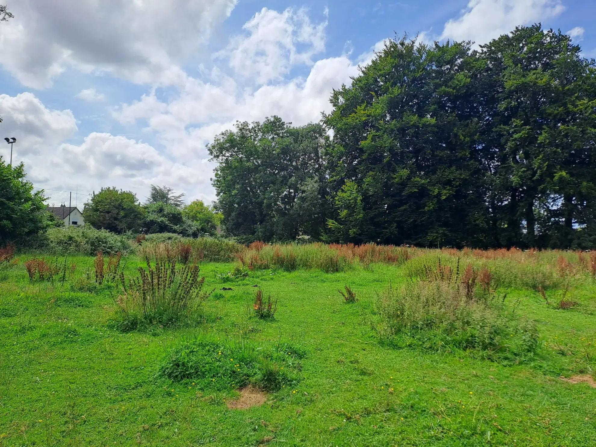 Terrain constructible de 4 600 m² à Angiens avec permis d'aménager 