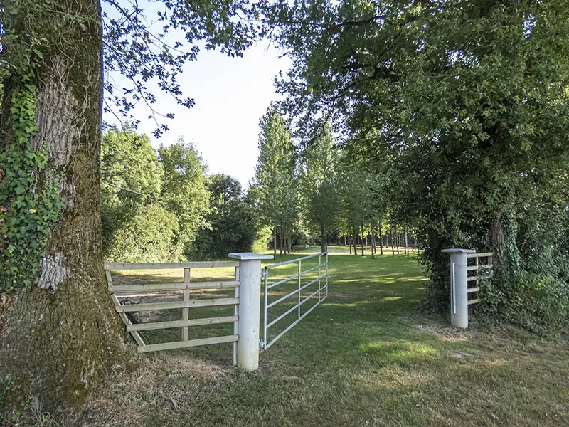 Terrain de loisir de 10 090 m² avec étangs, prairie et forêt à Nieul le Dolent 