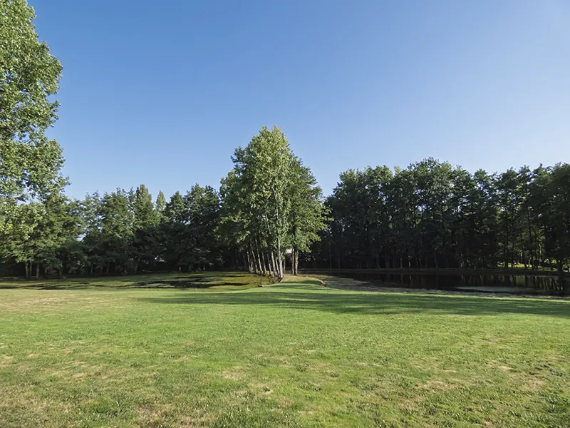 Terrain de loisir de 10 090 m² avec étangs, prairie et forêt à Nieul le Dolent 