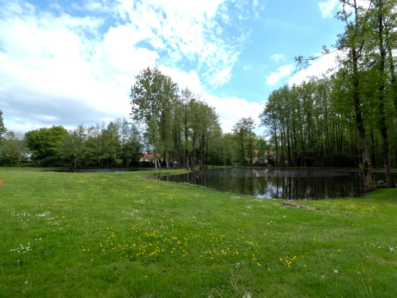Terrain de loisir de 10 090 m² avec étangs, prairie et forêt à Nieul le Dolent