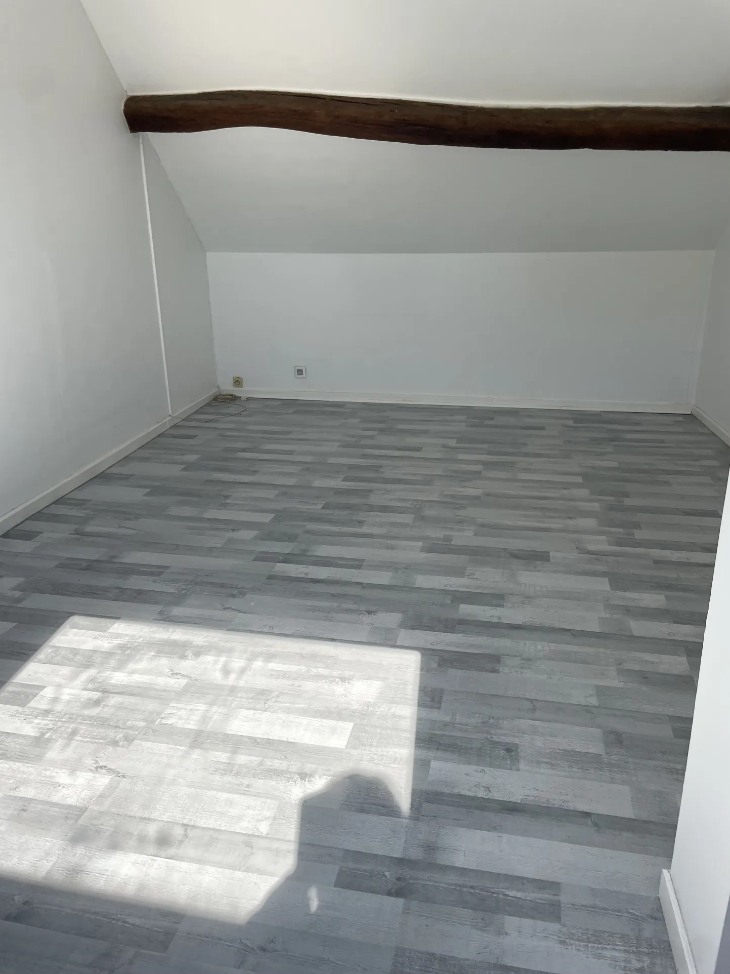 Maison de village proche Nangis avec jardin et dépendances - Idéal investisseurs 