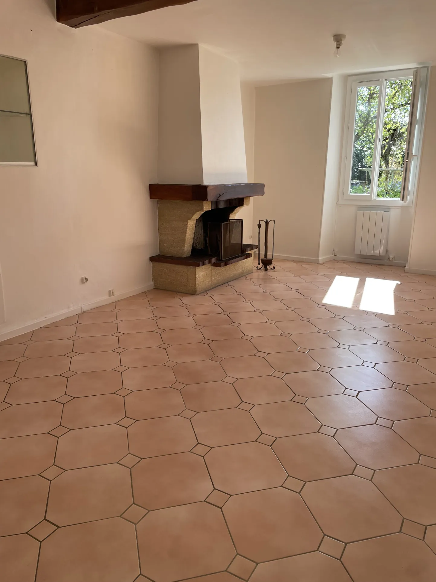 Maison de village proche Nangis avec jardin et dépendances - Idéal investisseurs 