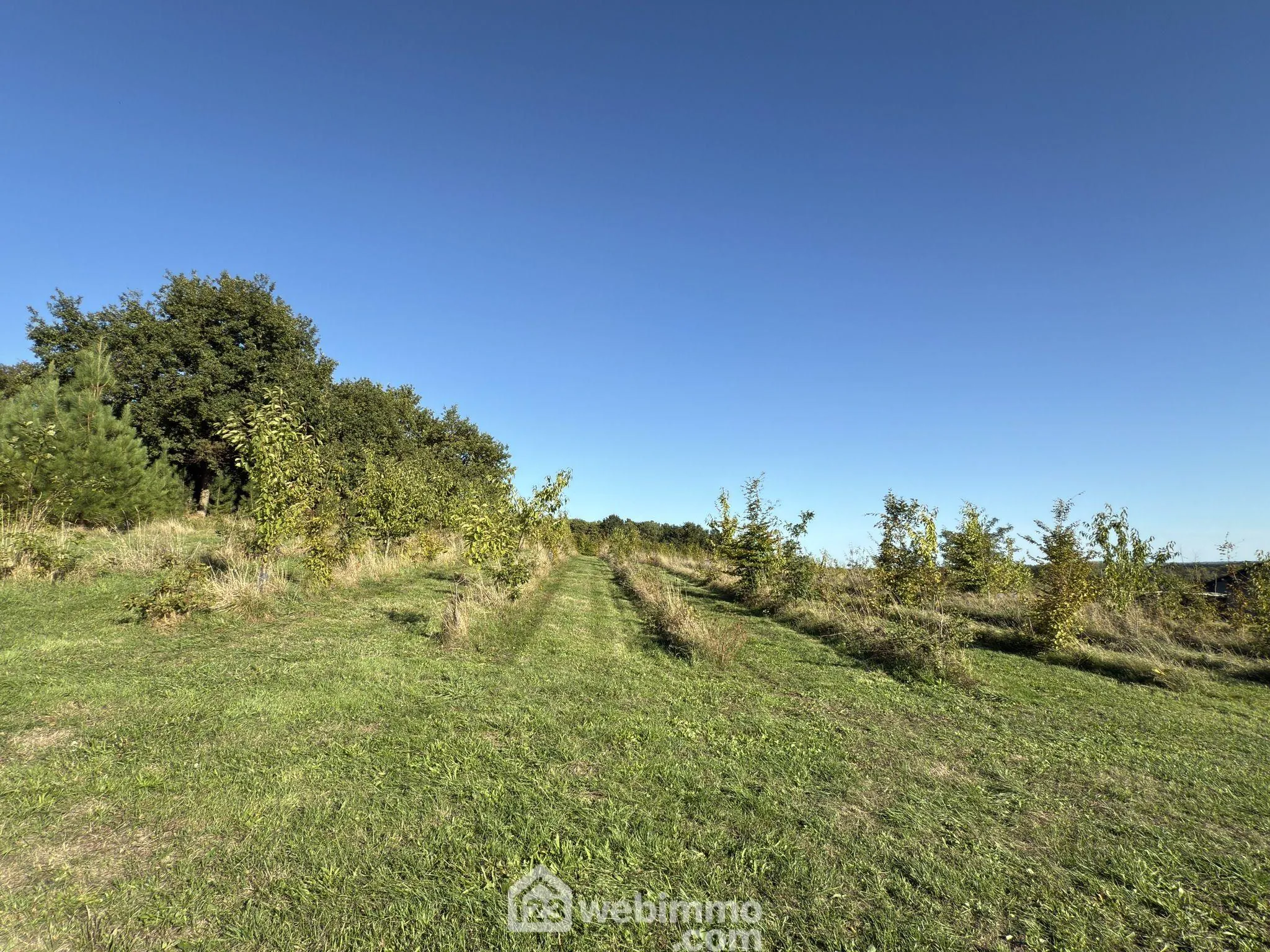 Charmante maison rénovée avec terrain et dépendances à Mouliherne 