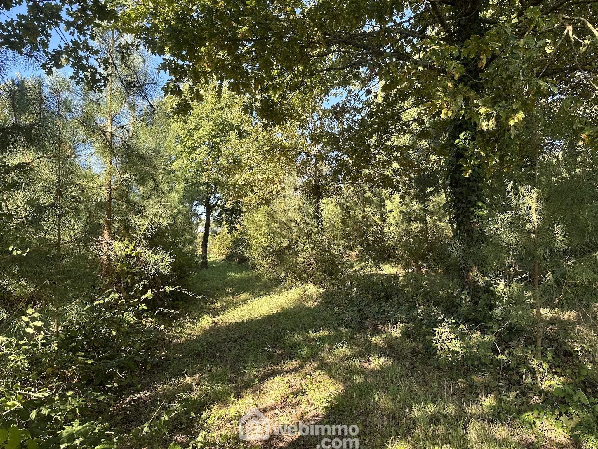 Charmante maison rénovée avec terrain et dépendances à Mouliherne 