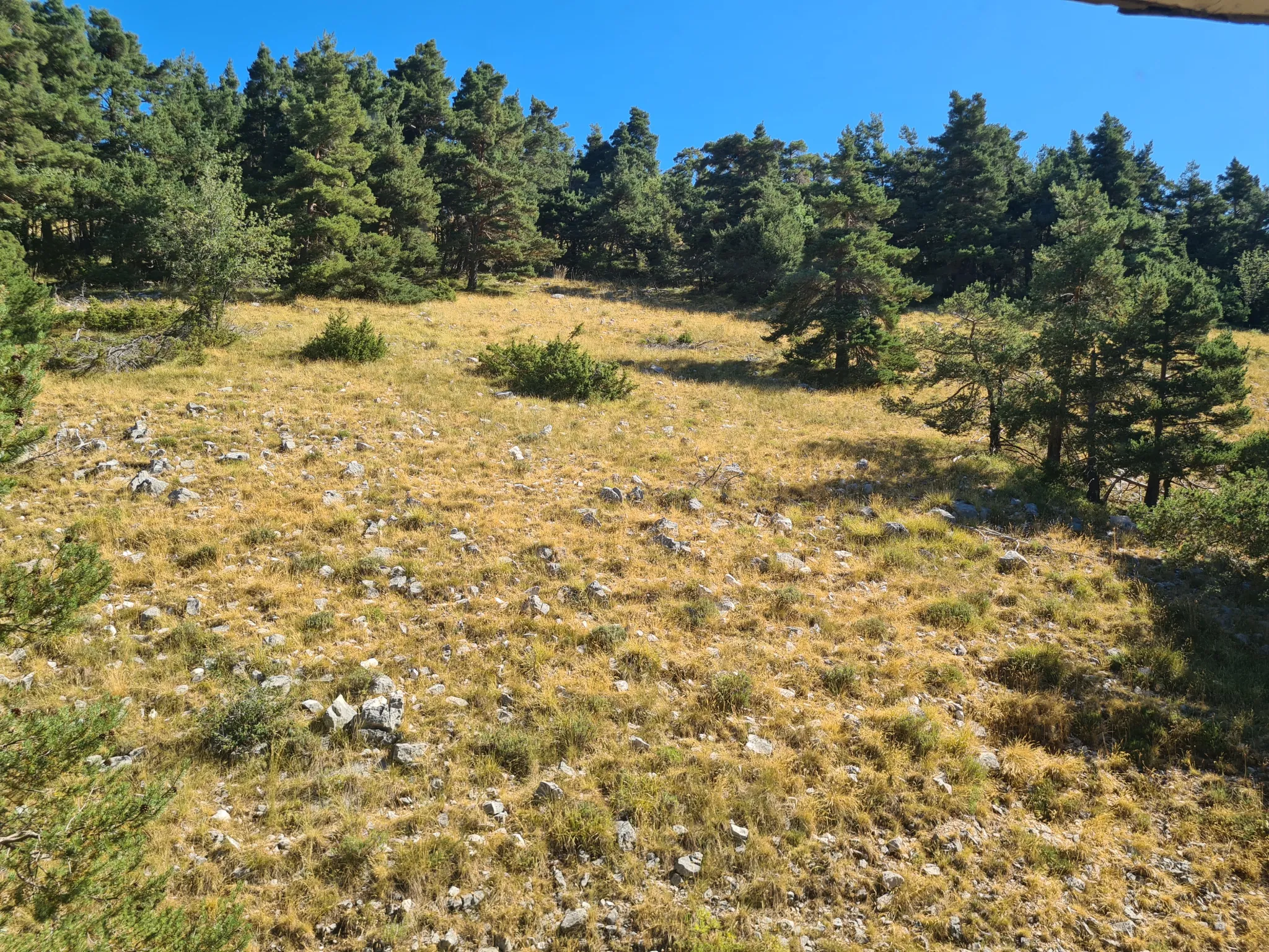 Appartement F3 de 60 m² avec Vue Montagne à Greolieres 