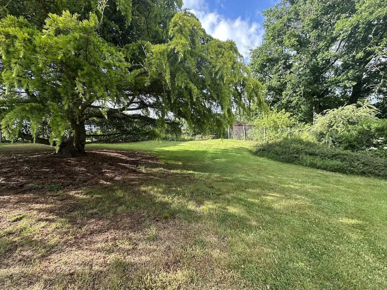 Spacieuse maison avec sous-sol complet et terrain arboré à Semur-en-Brionnais 