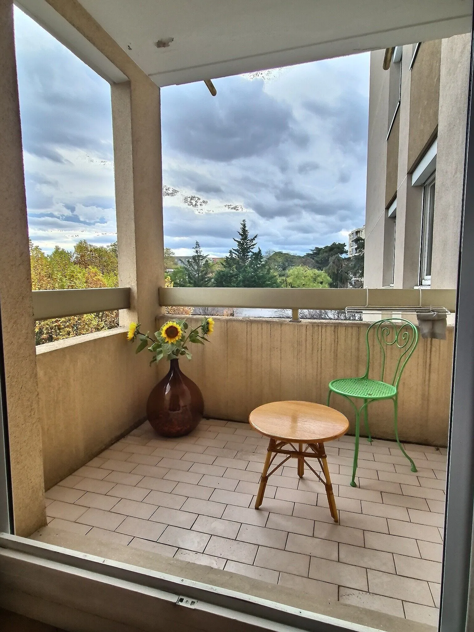 Appartement 2 pièces à Caluire-et-Cuire proche métro et commerces 