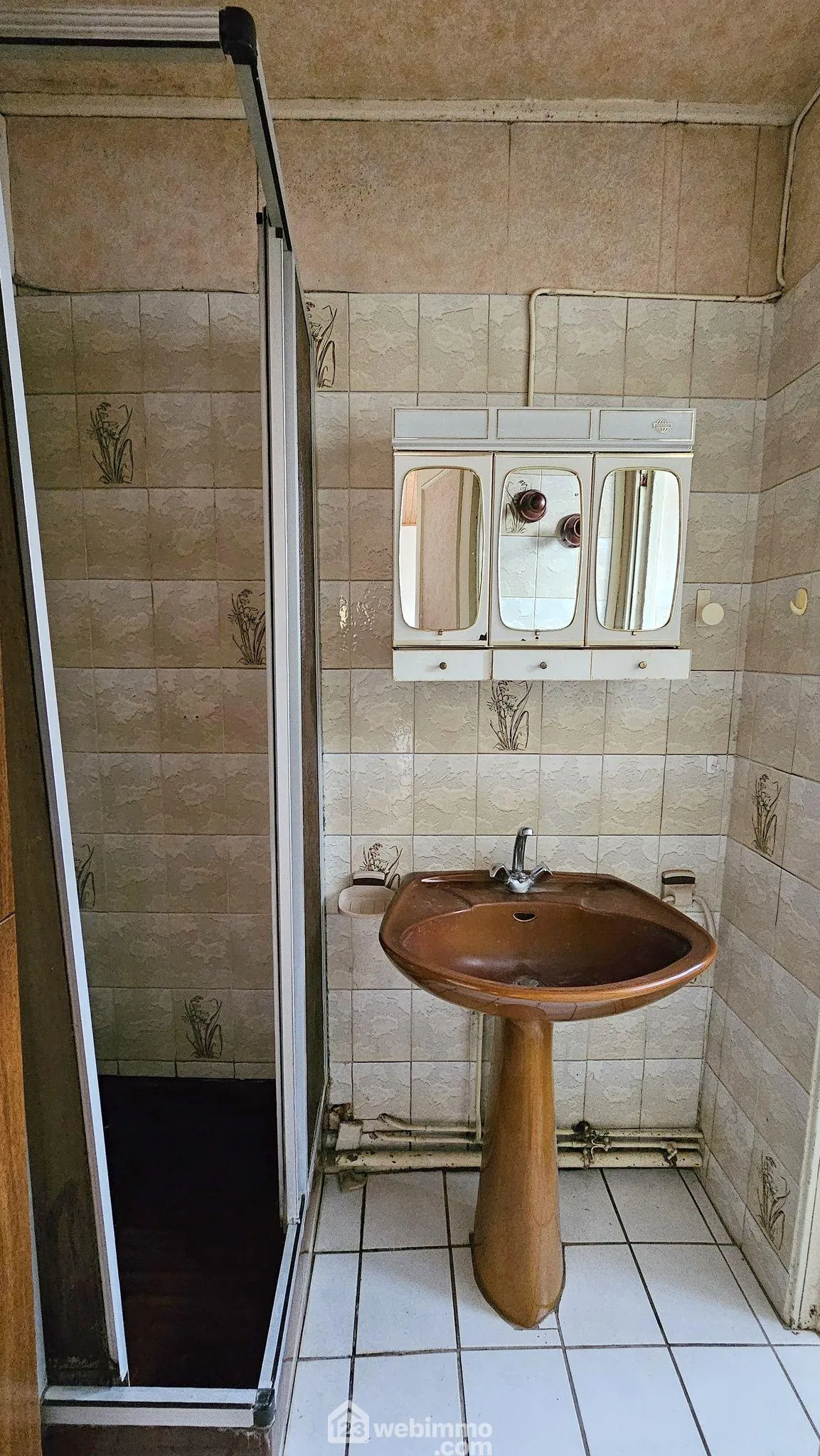 Maison à rénover ou à reconstruire de 44 m² avec grand terrain à Soisy-sur-Ecole 