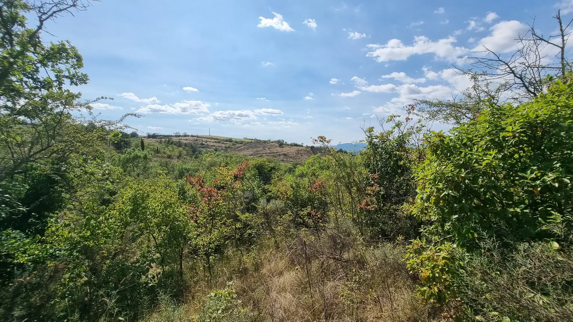 À vendre Parcelle de terrain constructible de 3 217 m² à Saint-Jean-le-Centenaire 