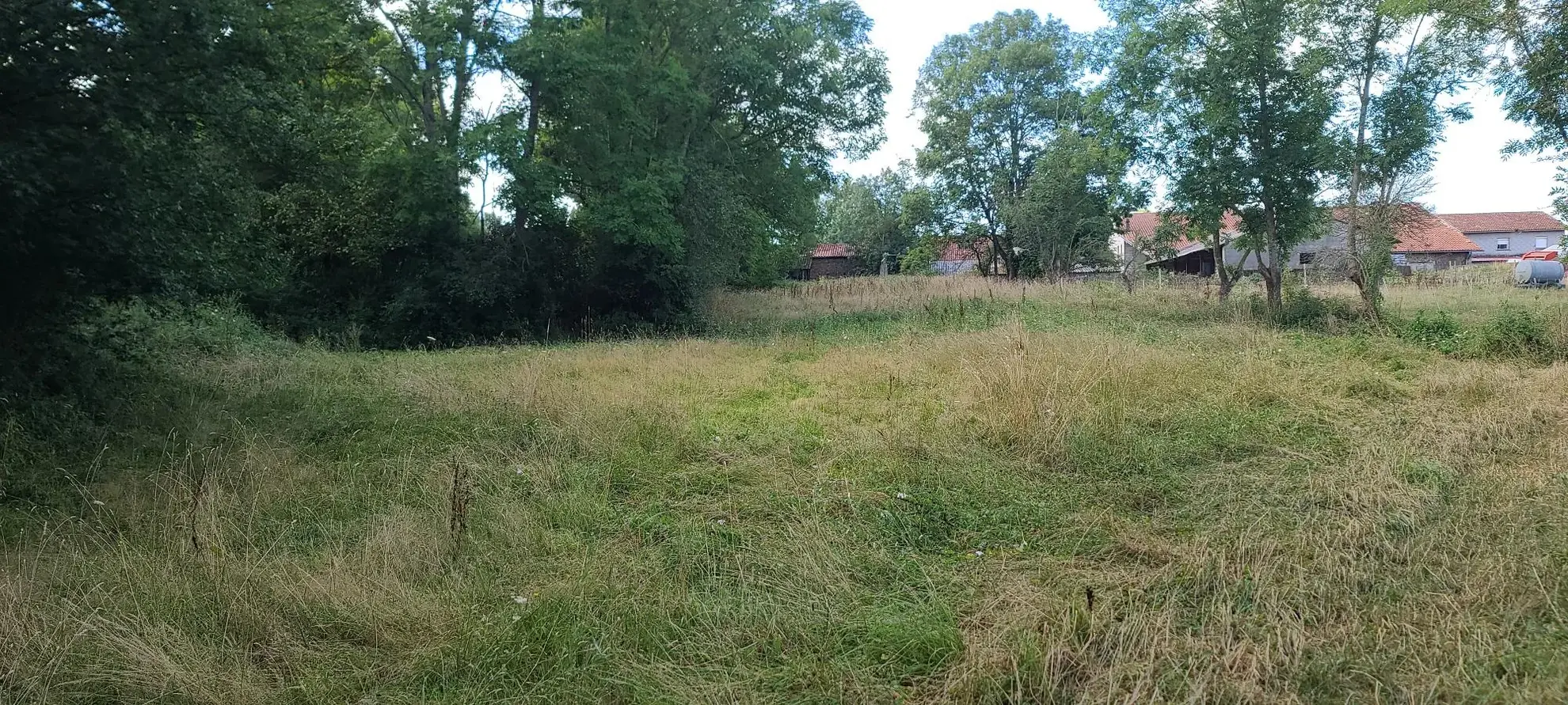 Maison ferme commingeoise à rénover à Villeneuve-Lecussan (31580) - Terrain et potentiel 