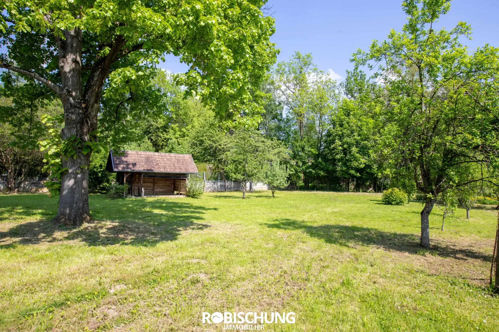 Maison à Wittersdorf avec 4 chambres, dépendance et grand terrain – Opportunité à saisir 