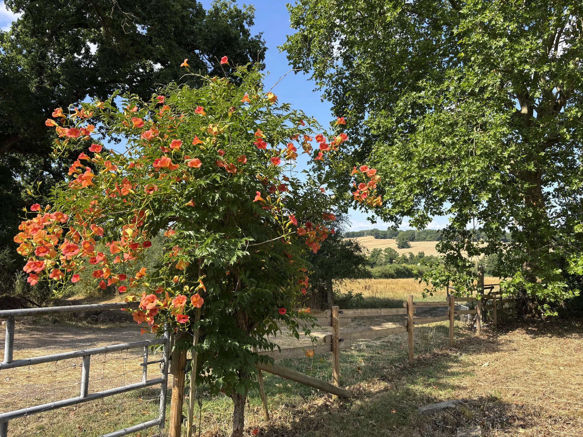 Belle maison indépendante avec grand terrain près d'Ygrande, en pleine nature 