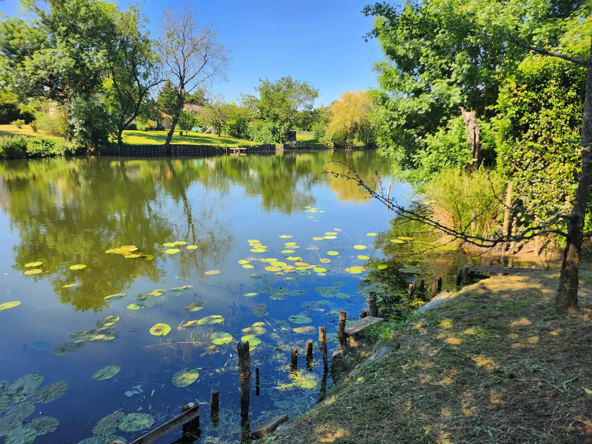 Maison familiale avec 4 chambres, garages et jardin à Mareuil-sur-Lay-Dissais 