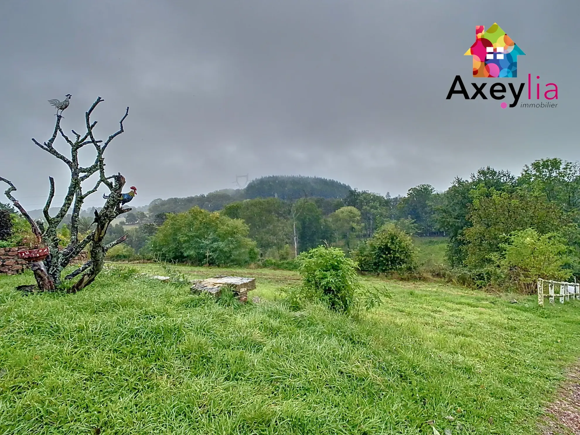 Maison à vendre en pleine campagne avec dépendances et terrain de 2110 m² 