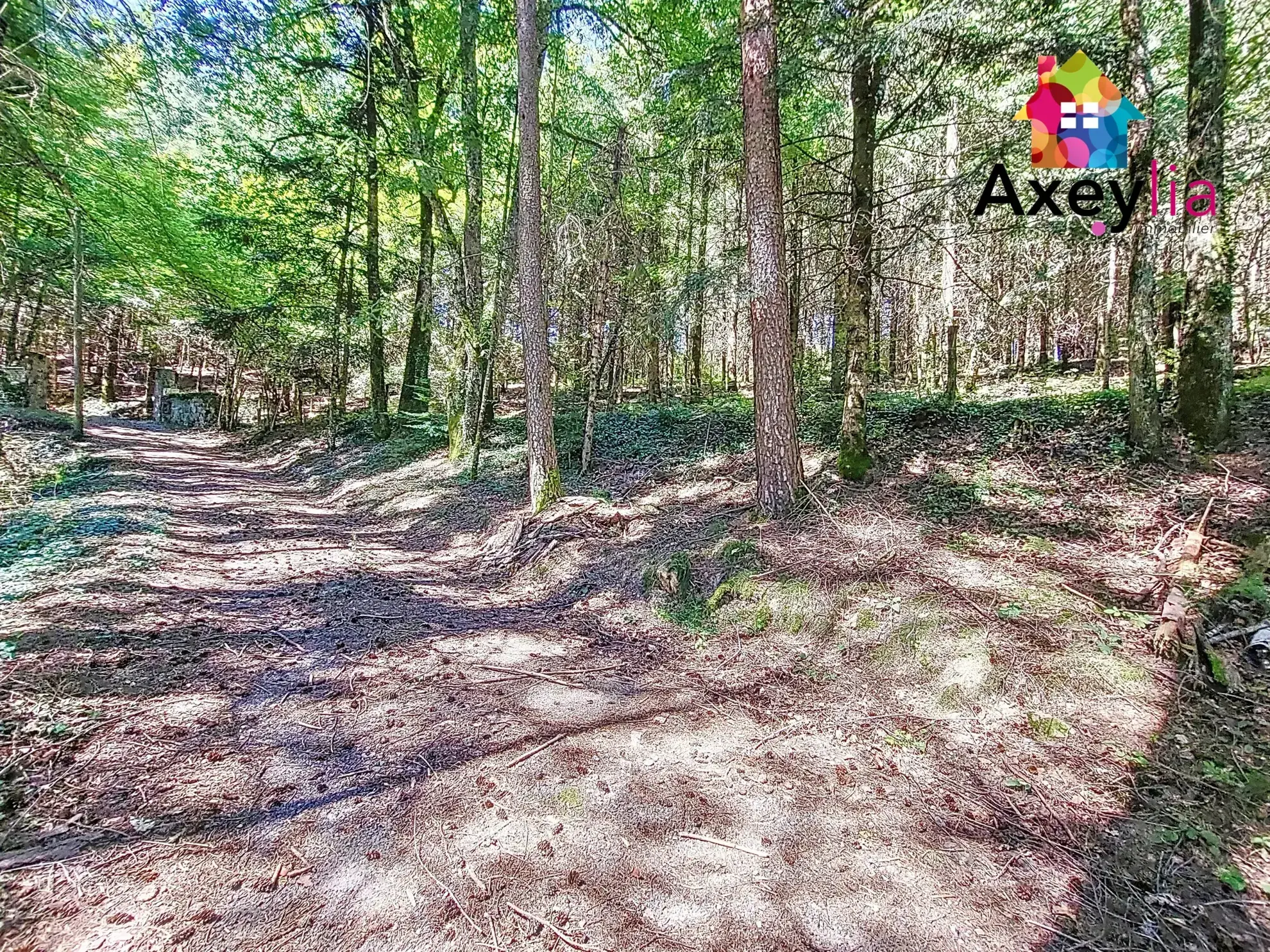 Maison rénovée avec grand terrain à Saint-Germain-la-Montagne - 3 chambres 